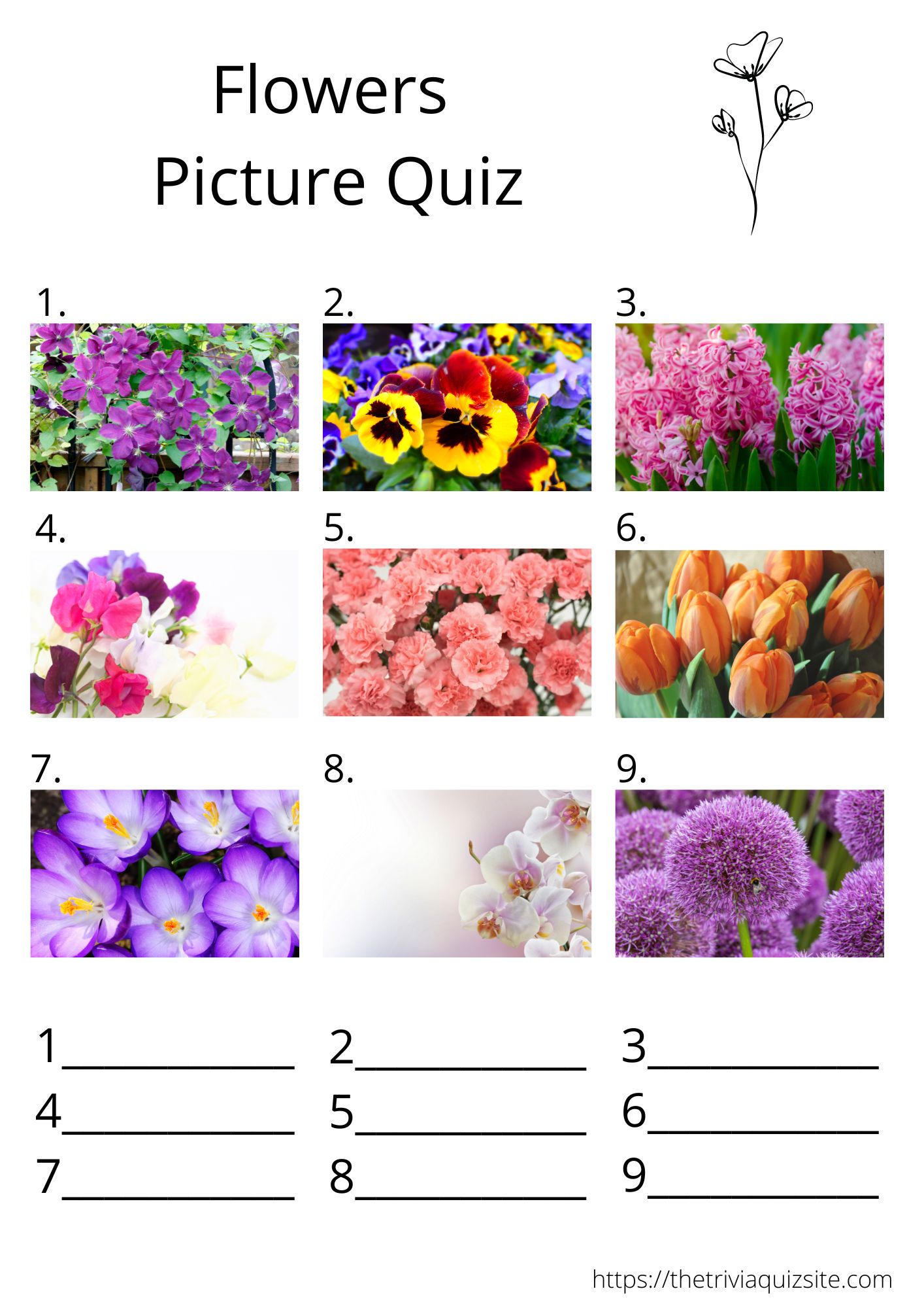 Flowers picture quiz round