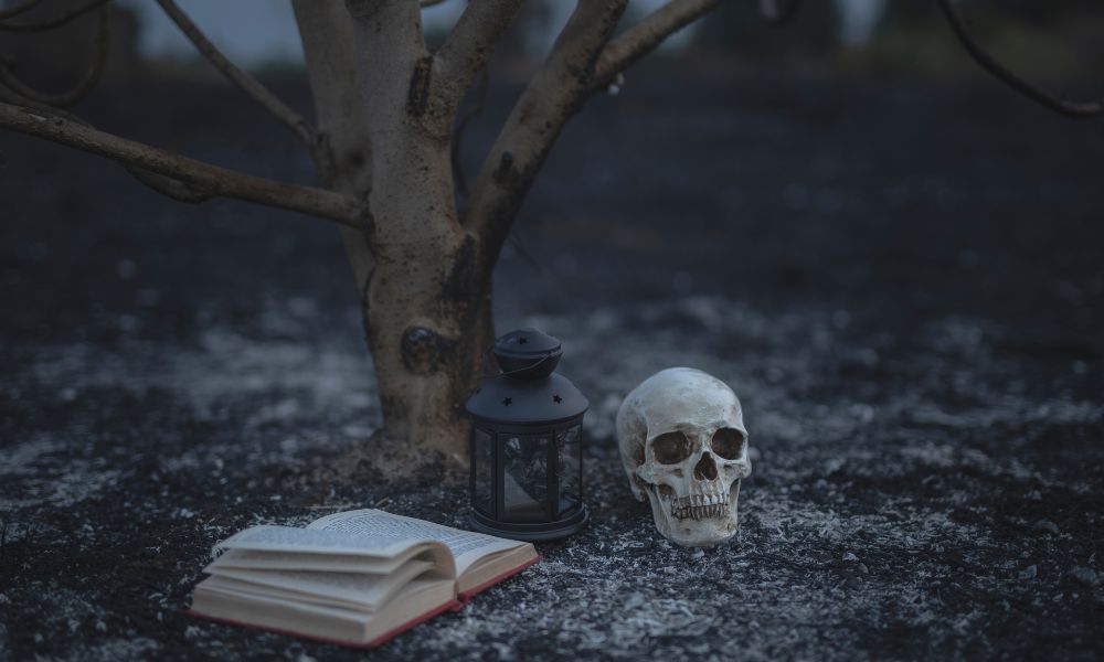 skull book and lamp