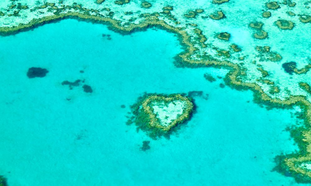 great barrier reef